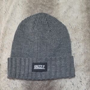 Grizzly Gray Knit Beanie